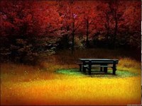 pochette album They don't make years like they used to