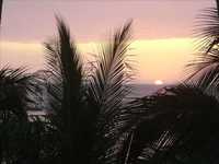 pochette album We all belong