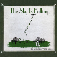 pochette album The sky is falling