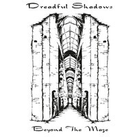 pochette album Beyond the maze