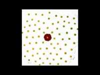 pochette album Hampstead girl