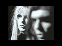 pochette album This world