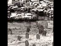 pochette album I don't want to make love to you