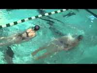 pochette album Butterfly