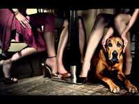 pochette album Everybody needs love