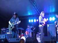 pochette album Catch the wind