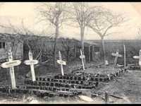 pochette album The green fields of france