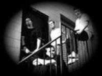 pochette album Velvet elvis