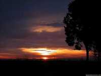 pochette album A donde fuiste tu