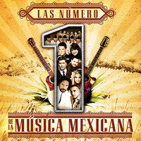 pochette album Soy como no soy