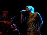 pochette album Turtle dove