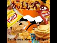 pochette album Saliferous morsels of spud