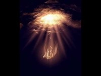 pochette album Falling angel