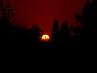 pochette album Morning