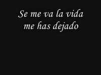 pochette album El amor de mi vida