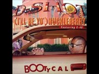 pochette album (i'll be yo) huckleberry