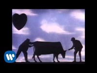 pochette album Bring on the dancing horses