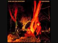 pochette album Simple stuff