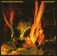 pochette album Crocodiles