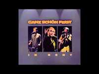 pochette album Immer nur ficken