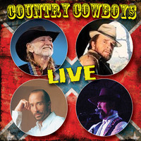 pochette album Texas when i die