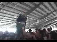 pochette album I wish you the best