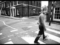 pochette album Little bird (traduction)