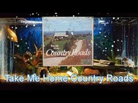 pochette album Take me home country roads