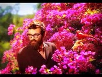 pochette album Jennifer eccles