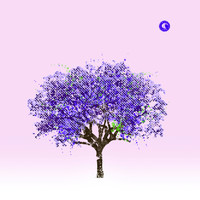 pochette album Oh so lovely