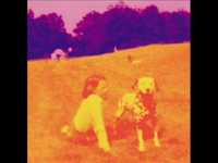 pochette album Stars shine in the sky tonight