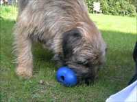 pochette album Vice president fruitley