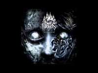 pochette album Fortress