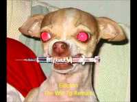 pochette album The will to remain