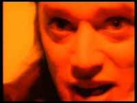 pochette album Die interimsliebenden