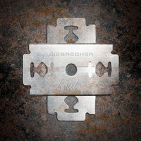 pochette album Leider