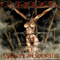 pochette album Deutschland in flammen