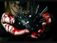 pochette album Dreizehn