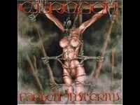 pochette album Im reich der fleischlichkeit