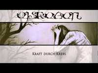 pochette album Krebskolonie