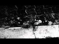 pochette album Savstas