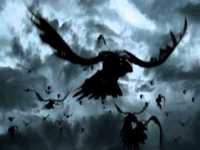 pochette album Birds of dawn