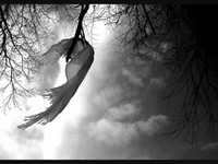 pochette album The wake of the angel