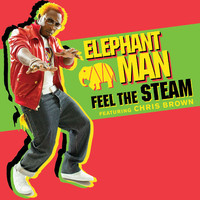 pochette album Feel the steam
