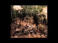 pochette album Hill of grace