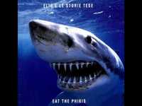 pochette album T.v.u.m.d.b