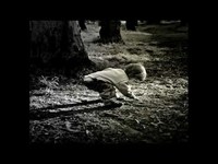 pochette album Good morning kids