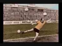 pochette album Feed me