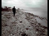 pochette album I fall apart