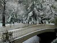 pochette album Seasons